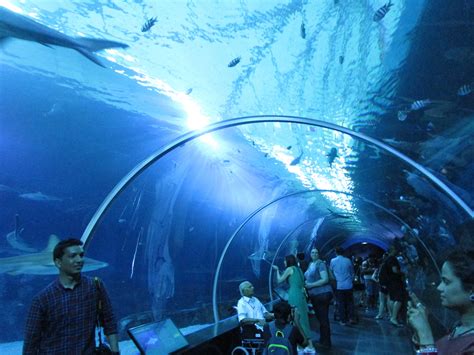 Best Places To Visit In Singapore Part 3 Sentosa Sea Aquarium And Gardens By The Bay