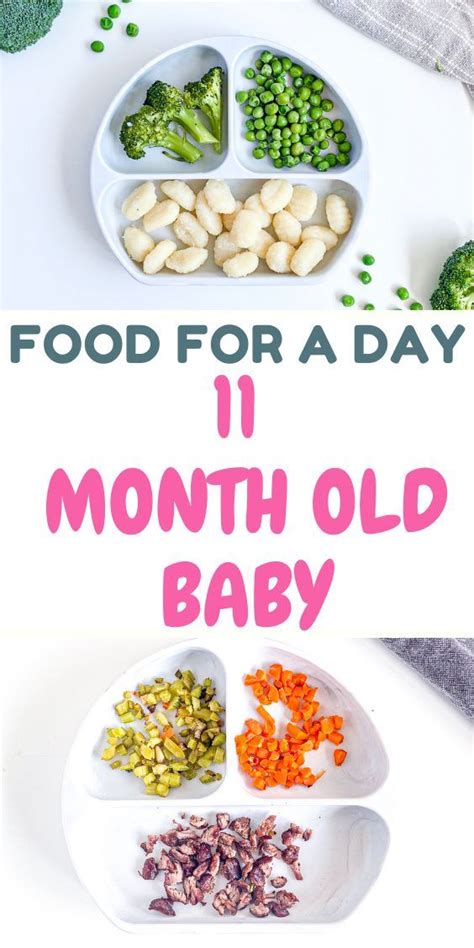 11 Month Old Meal Plan Nutritionist Approved Creative Nourish