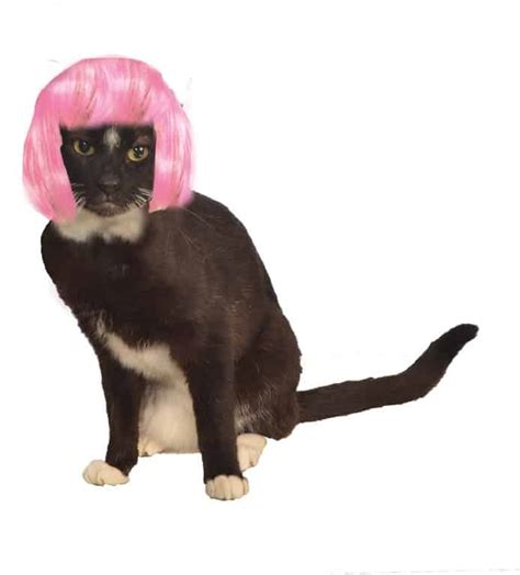 Short Pink Bob Cat Wig Pet Costume Center