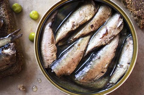 Cats that eat allergenic foods over and over can end up with lung inflammation that can also lead to asthma. Canned Sardine from Morocco High Quality - Sardine Canned ...