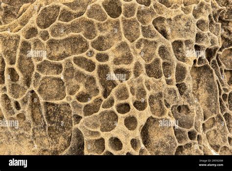 Tafoni And Tilted Layers Of Sandstone That Formed Deep Below The Sea