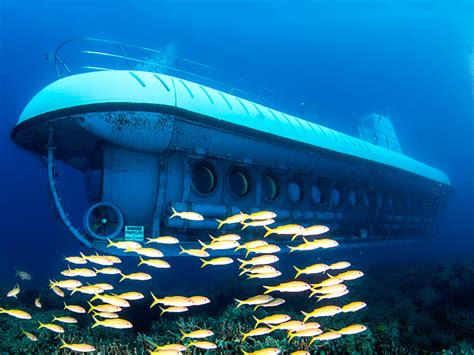 maui atlantis submarine tour expedition from lahaina harbor [open now] tours activities fun