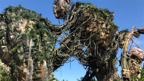 Pandora Marks 5 Years At Disneys Animal Kingdom