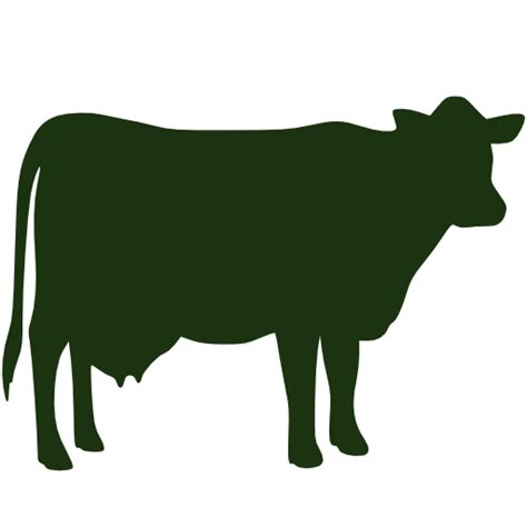 Jersey cattle Beef cattle Holstein Friesian cattle Highland cattle ...