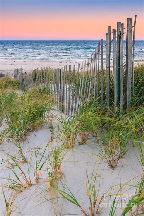Sand Dune Fences Cape Cod By Henk Meijer Photography Beautiful