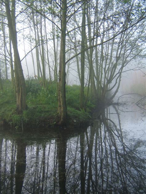 Misty Morning By Needham Lake Andrew Hill Flickr