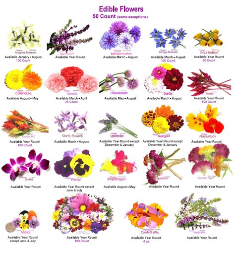 Where to buy edible flowers uk. Edible Flower Information on Pinterest | Edible Flowers ...