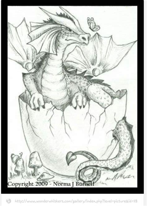 Get Baby Dragon Hatching Coloring Pages Home