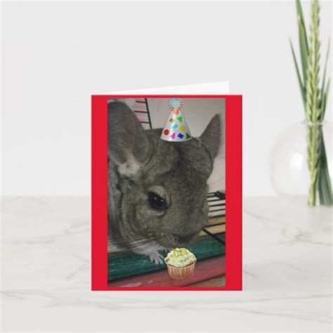 Happy Birthday Chinchilla Card Zazzle