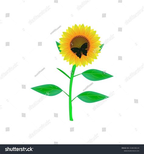 Sunflower Butterfly Vector All Elements Isolated Stock Vector Royalty