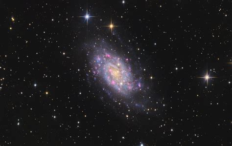 Ngc2403 Intermediate Spiral Galaxy In Camelopardalis Rastrophotography