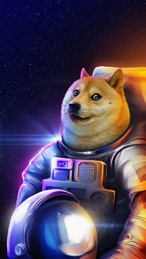Doge In Space Iphone Wallpaper Iphone Wallpapers Iphone Wallpapers