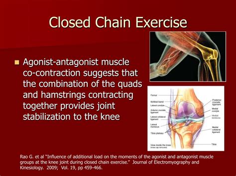 Ppt Closed Chain Exercise And Knee Pathologies Powerpoint Presentation Id