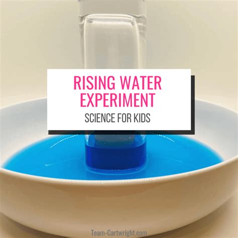 Rising Water Experiment Magic Water Science Experiment