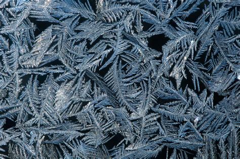 Winter Feathers Massachusetts Patrick Zephyr Photography
