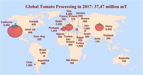 2017 A Reasoned Output For The Worldwide Industry Tomato News