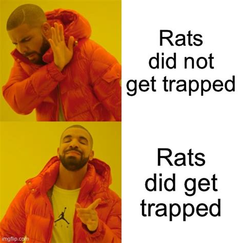 Rat Memes And S Imgflip