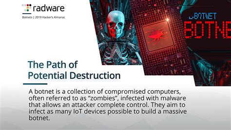 What Is A Botnet And Its Functionality Radware