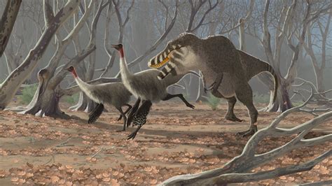 Tarbosaurus Bataar And Gallimimus Bullatus By John Conway Dinosaur