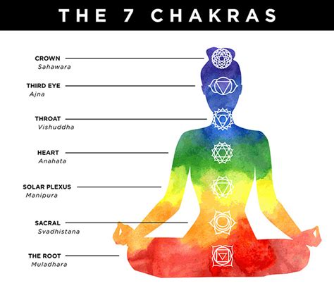 7 Chakras In A Human Body Healing Meditation Chakras