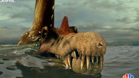 Spinosaurus Surprise This Dinosaur Could Swim And Thats A First