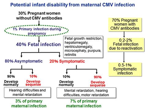 New Method For Predicting Congenital Cmv Infection During The Prenatal