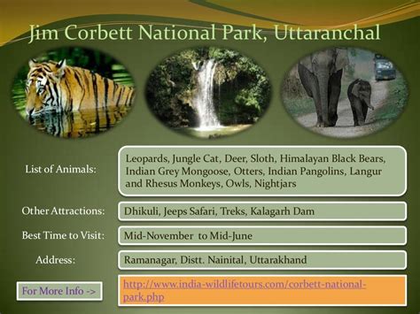 Top 10 Wildlife Sanctuary In India