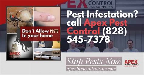 In the meantime, contact us at: Hendersonville Pest Control Services