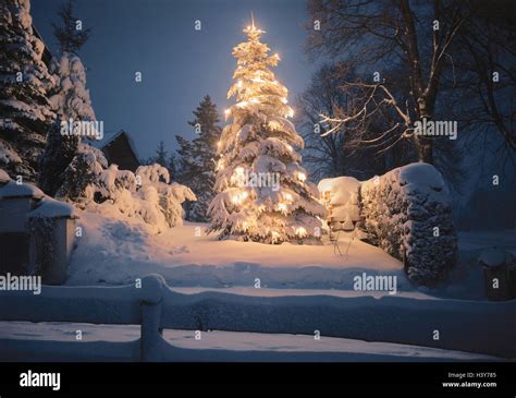 Weihnachtsbaum Illuminateds Abend Verschneiten Winterlandschaft