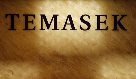 Temasek holdings private limited (abbreviated as temasek) is a singaporean holding company. Singapore's Temasek buys stake in US high-frequency ...