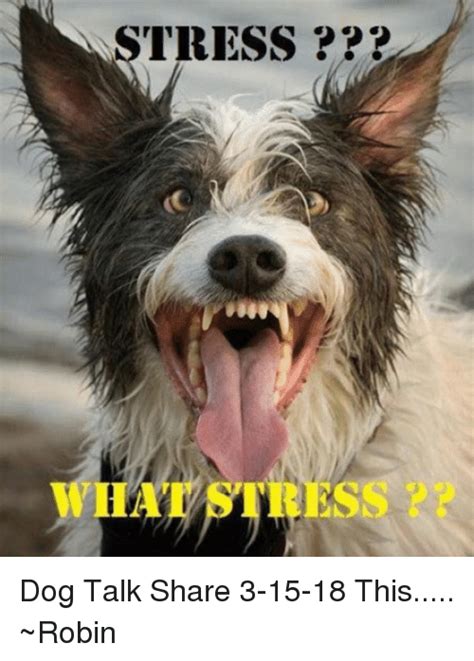 If my dog could talk dog: WHAT STRESS ?? Dog Talk Share 3-15-18 This ~Robin | Meme on ME.ME