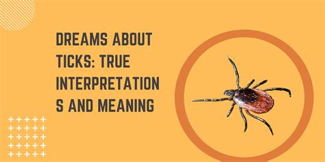 Dreams About Ticks True Interpretations And Meaning Dreams Analyst