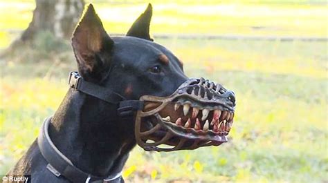 This Terrifying Dog Muzzle Will Transform Your Pooch Into A Frightening