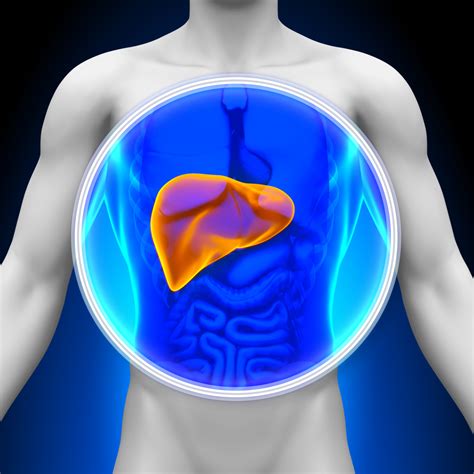 Liver Awareness Month Liver Disease Can Cause Pulmonary Hypertension
