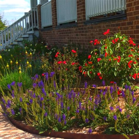 A Flower Garden In Front Of A Brick Building