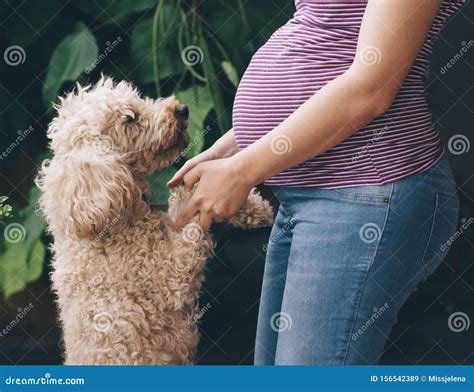 Can A Dog Make A Girl Pregnant