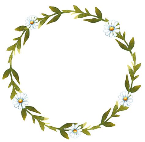 Daisy Wreath Watercolor Wreath Spring Floral Frame White Flowers Daisy
