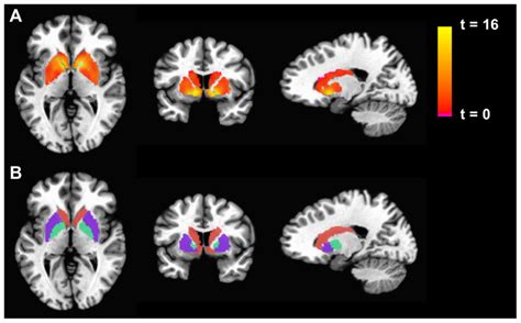 Recent Study Conducted By Duke University Researchers Reveals Critical