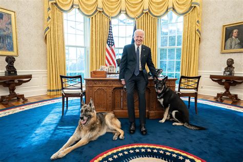 The Defining Photos Of Biden’s First 100 Days