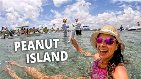 Sandbar Party And Snorkeling By Boat 🐠 Peanut Island Part 2 Youtube
