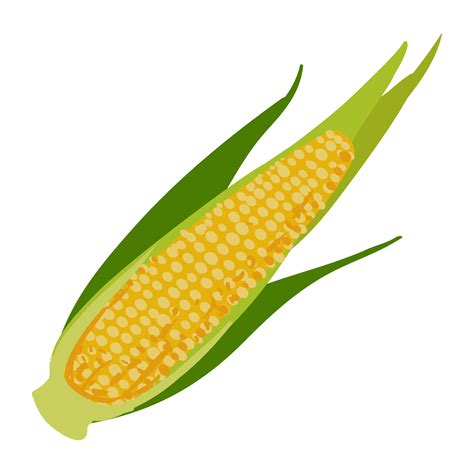 Ear Of Corn Clipart