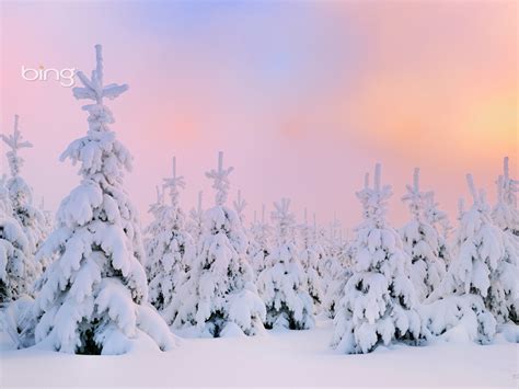 Free Download Winter Wallpaper Bing Images Winter 1 Pinterest 736x549