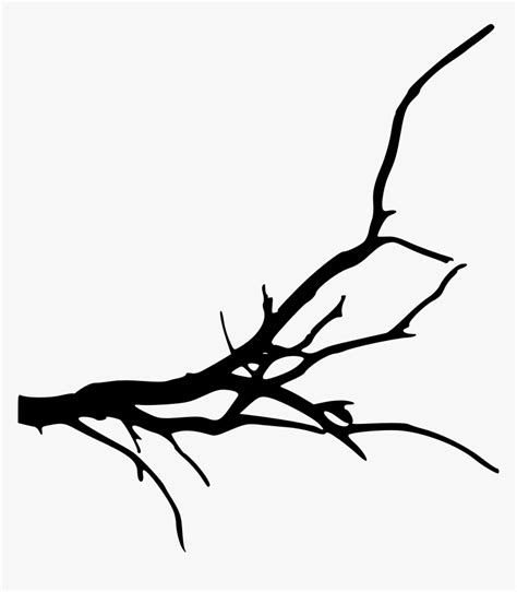 Branch Tree Silhouette Clip Art Transparent Background Tree Branches