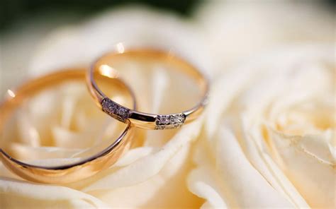 Download Couple Engagement Rings Picture