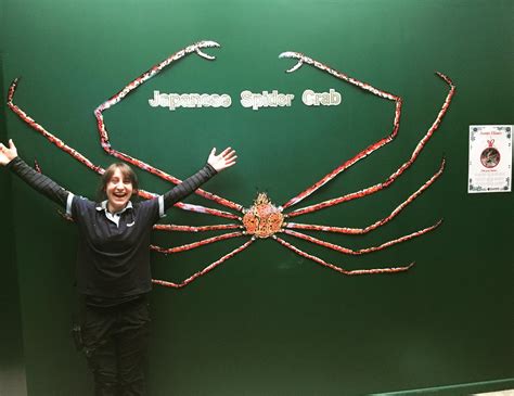 #10 japanese spider crab talk about crab legs! Blue Reef Portsmouth on Twitter: "Ever wondered how you'd ...
