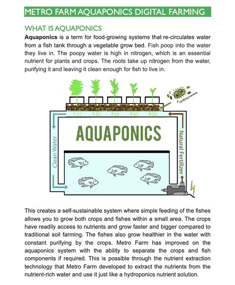 Benefits Of Aquaponics Metro Farm Pte Ltd