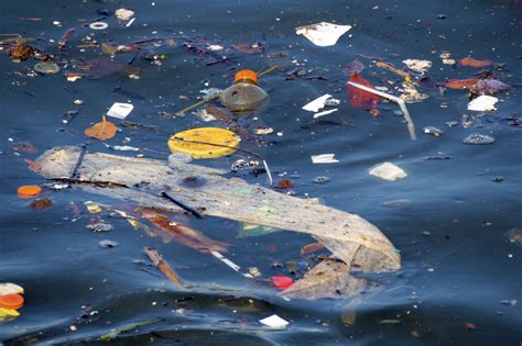 10 Rivers Responsible For 95 Of Total River Borne Plastic Pollution In