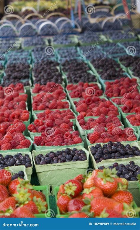 Freshly Picked Fruit Stock Image Image Of Ripe Blueberry 10290909