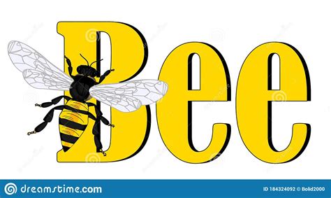 Bee And Letters Stock Illustration Illustration Of Honeycomb 184324092