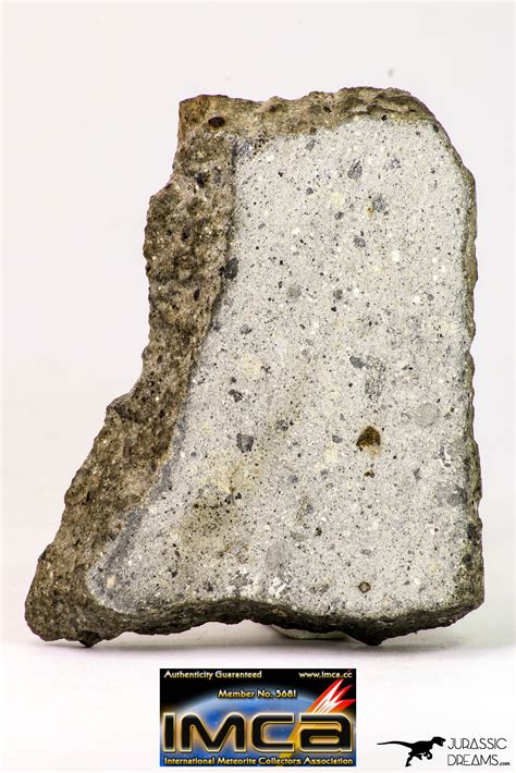Top Rare Nwa Howardite Achondrite Meteorite Polished Section 556 G